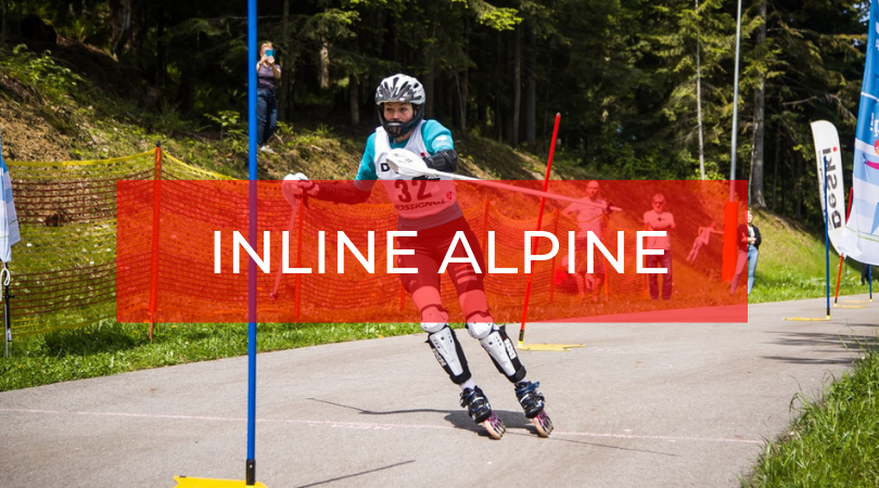 INLINE ALPINE