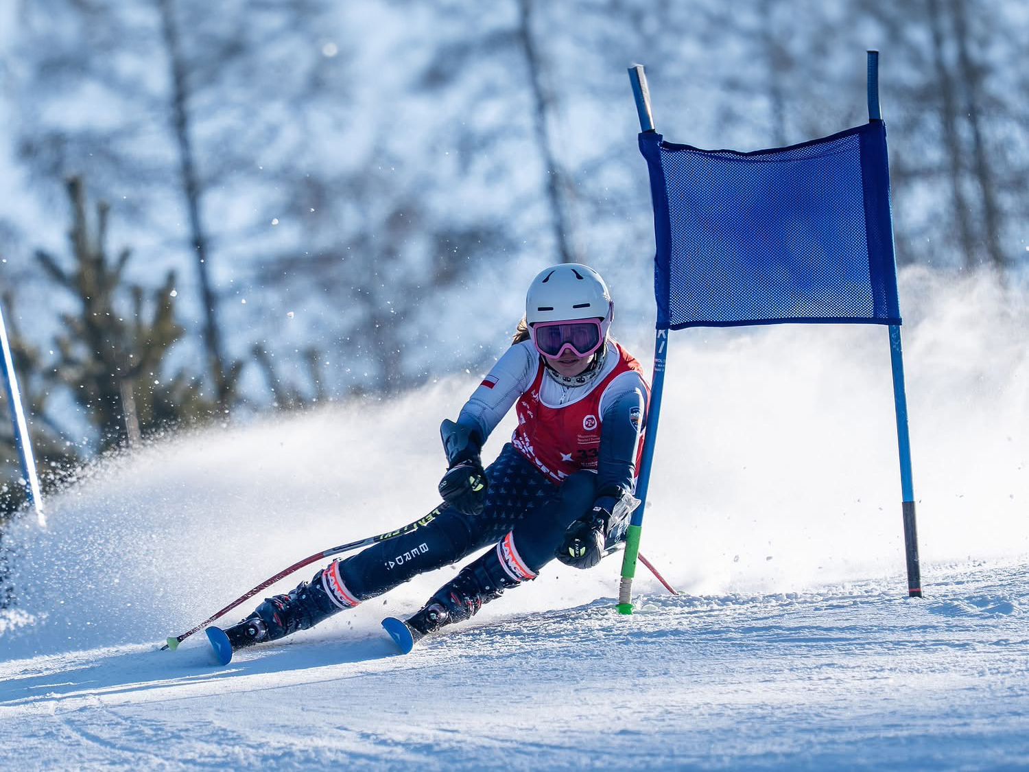 stubai dorosli